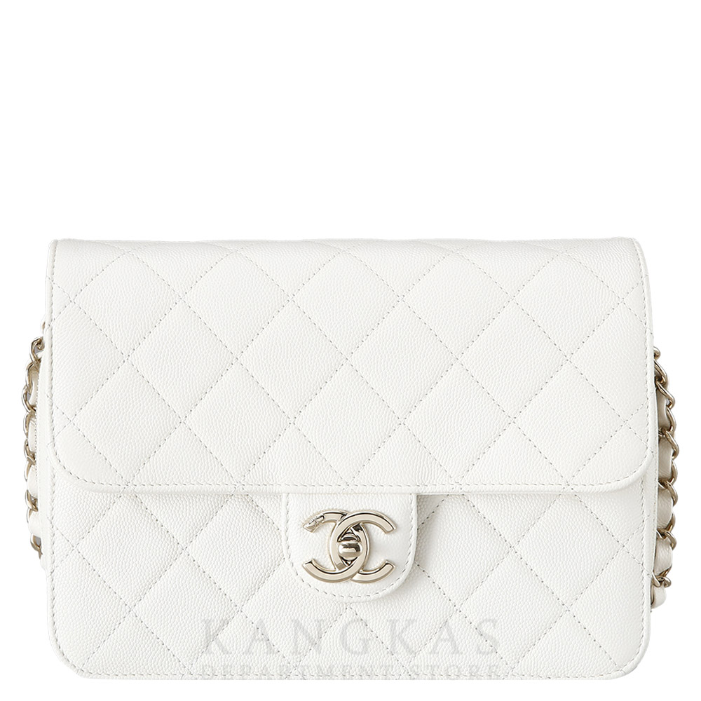 CHANEL(USED)샤넬 크루즈 컬렉션 스몰 플랩백