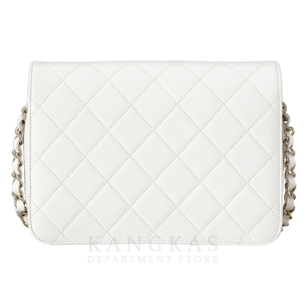 CHANEL(USED)샤넬 크루즈 컬렉션 스몰 플랩백