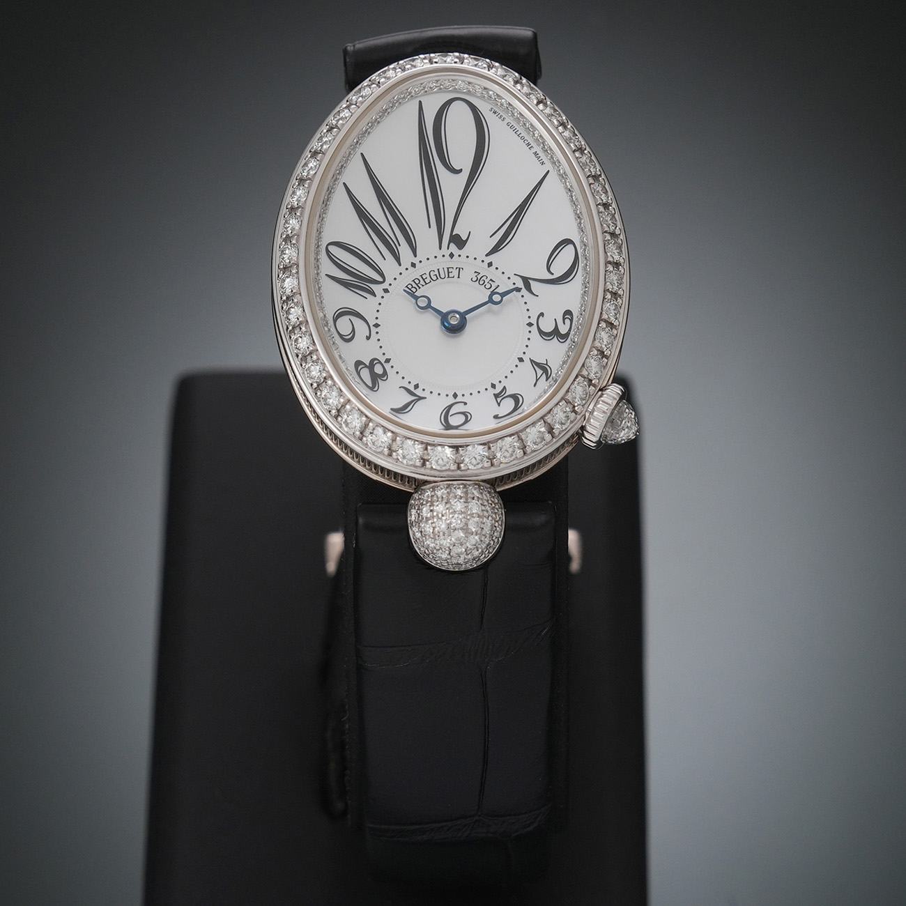 BREGUET(USED)브레게 레인 드 네이플 8928BB